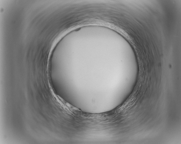 X0000070871536200607150109