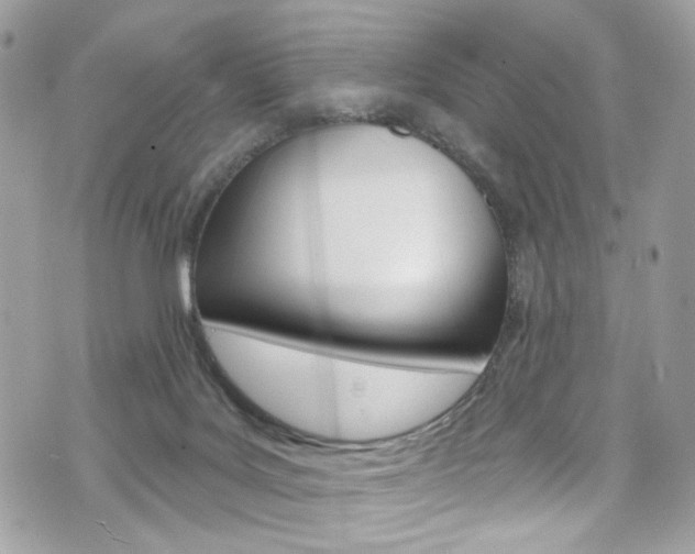 X0000070880027200606161022