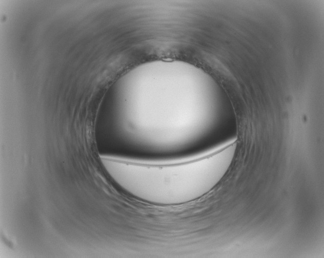 X0000070880039200606161022