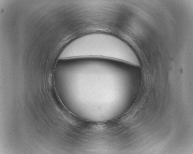 X0000070880071200606161021