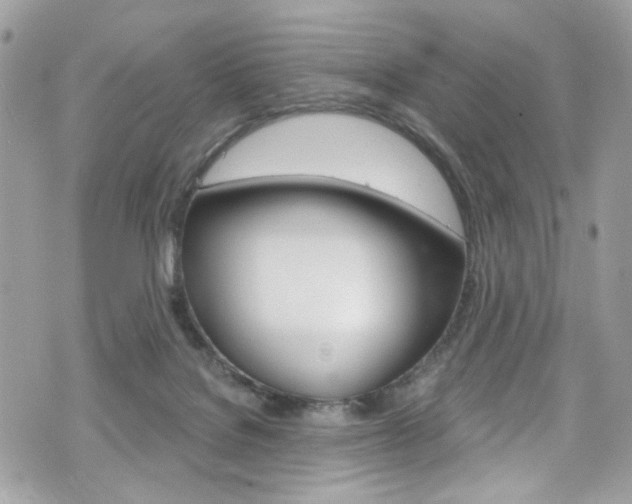 X0000070880076200606161021
