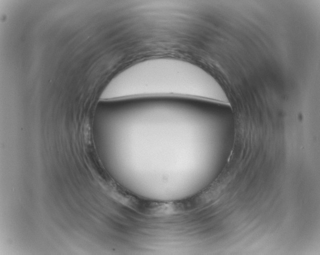X0000070880083200606161022