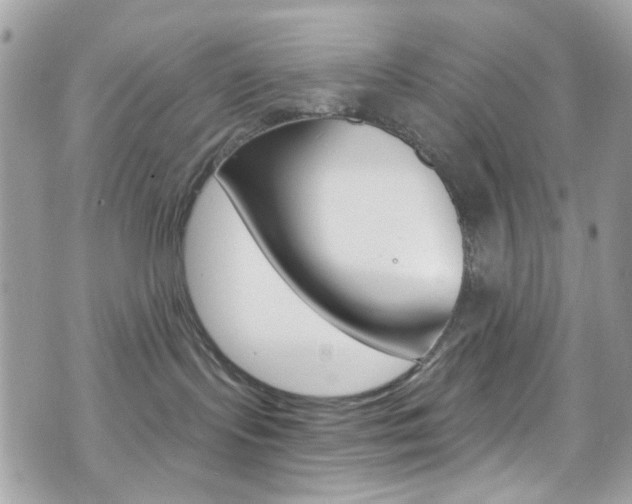 X0000070880095200606161022