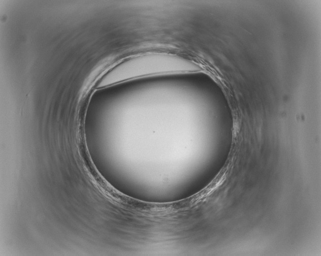 X0000070880101200606161021