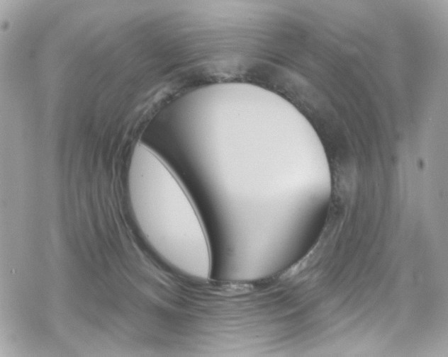 X0000070880128200606161020
