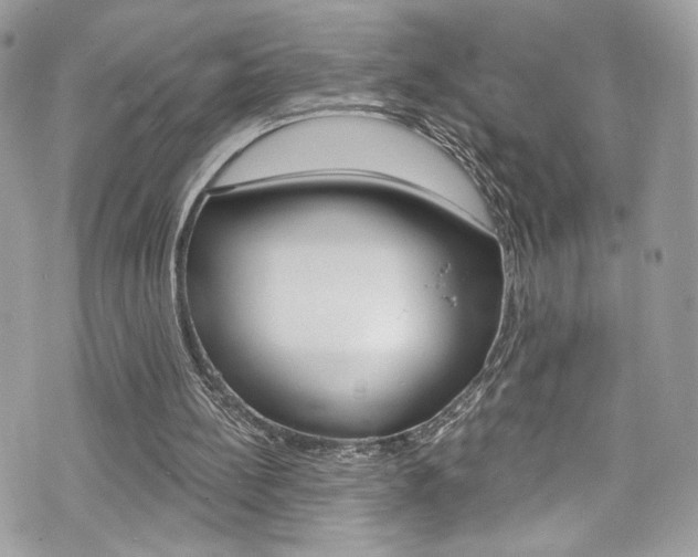 X0000070880148200606161019