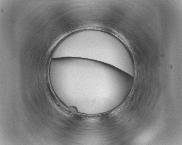 X0000070880155200606161020