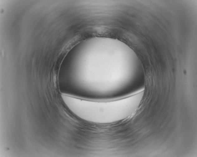 X0000070880188200606161020