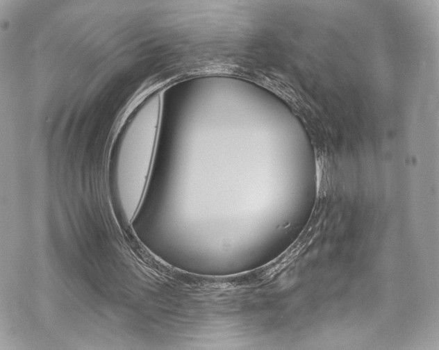 X0000070880195200606161019