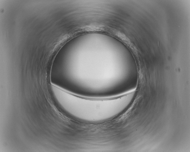 X0000070880201200606161019