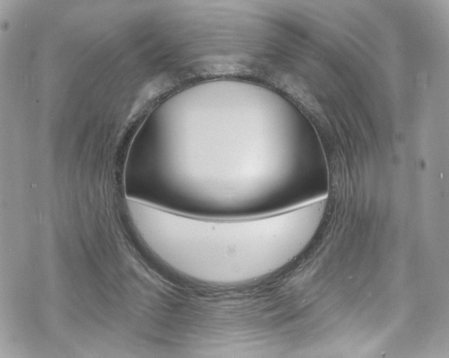 X0000070880207200606161019