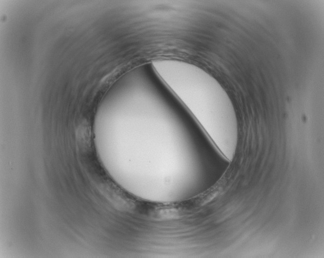 X0000070880228200606161019