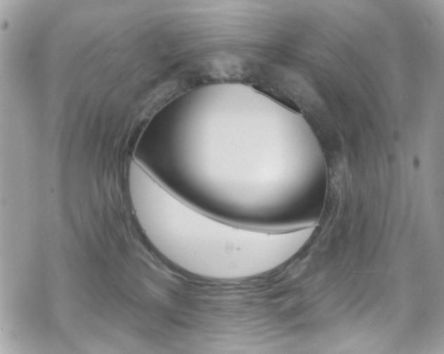 X0000070880233200606161019