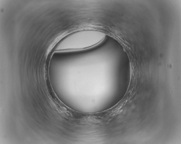 X0000070880244200606161018