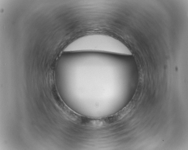 X0000070880272200606161018