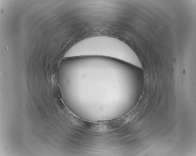 X0000070880276200606161018