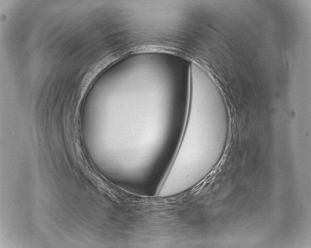 X0000070880289200606161018