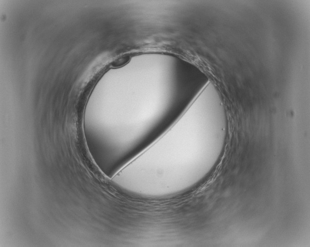 X0000070880295200606161018