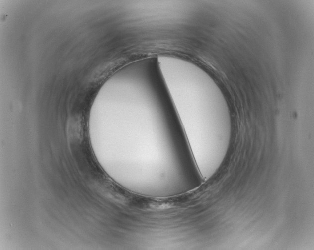 X0000070880311200606161017