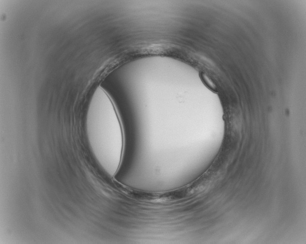 X0000070880312200606161017