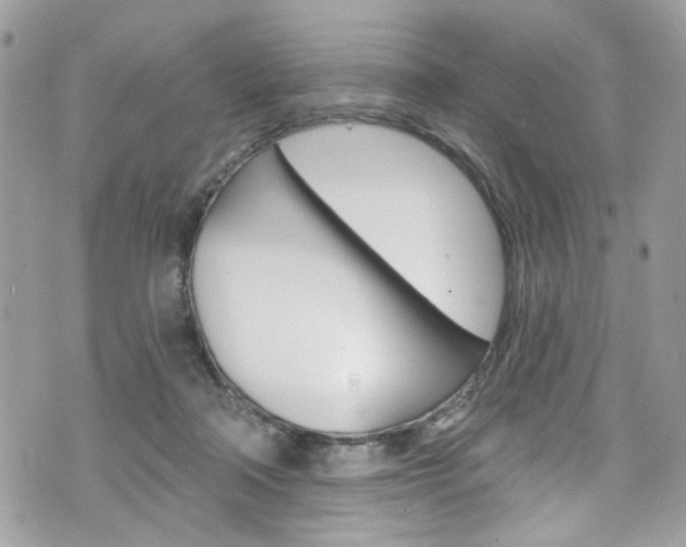 X0000070880314200606161017