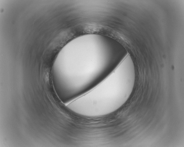 X0000070880315200606161017