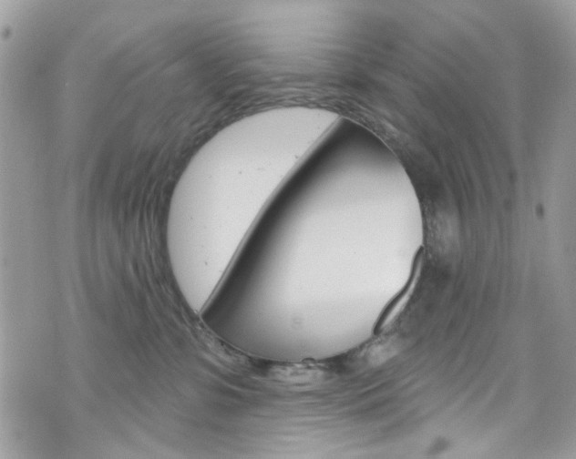 X0000070880331200606161017