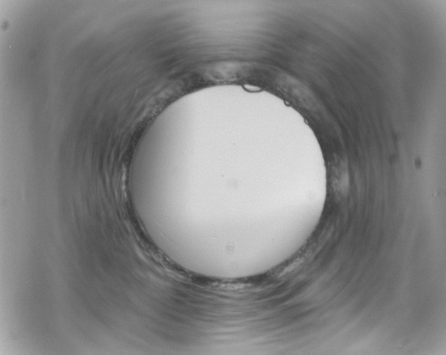 X0000070880332200606161017