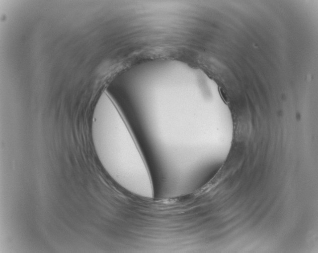 X0000070880335200606161017