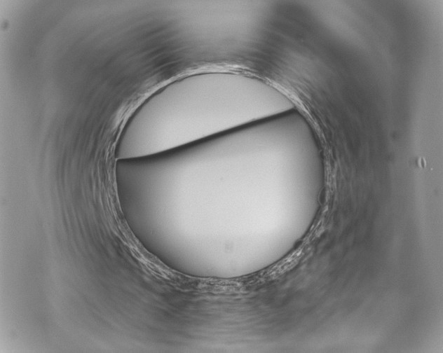 X0000070880337200606161016