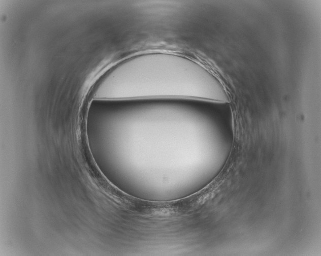 X0000070880344200606161016