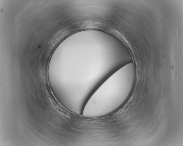 X0000070880386200606161016