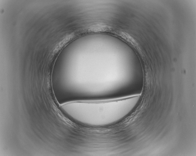 X0000070880393200606161016