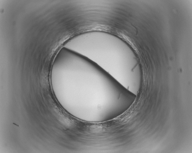 X0000070880394200606161016