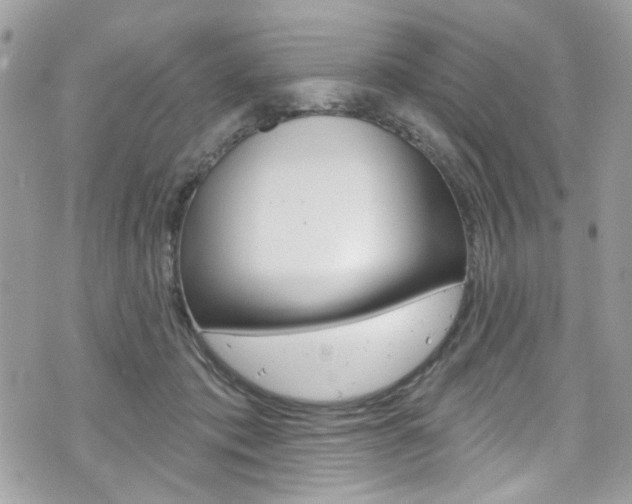 X0000070880413200606161016