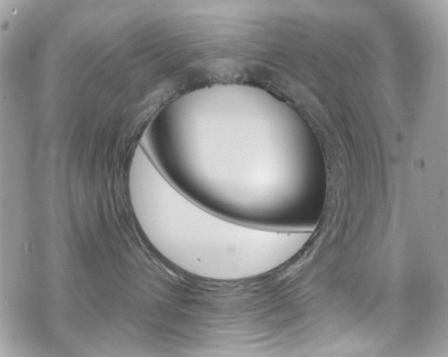 X0000070880432200606161015