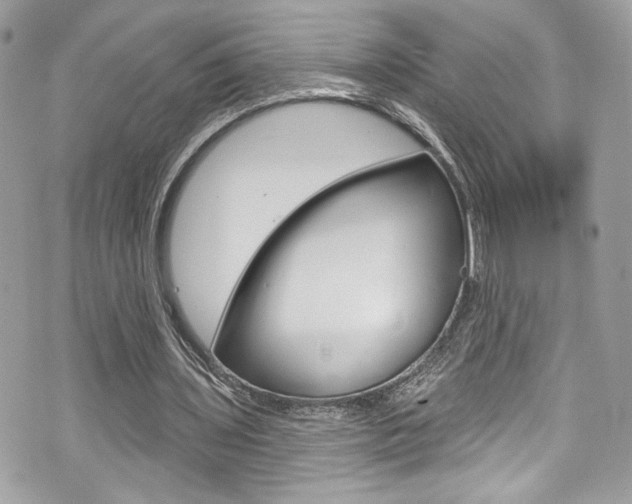 X0000070880435200606161015