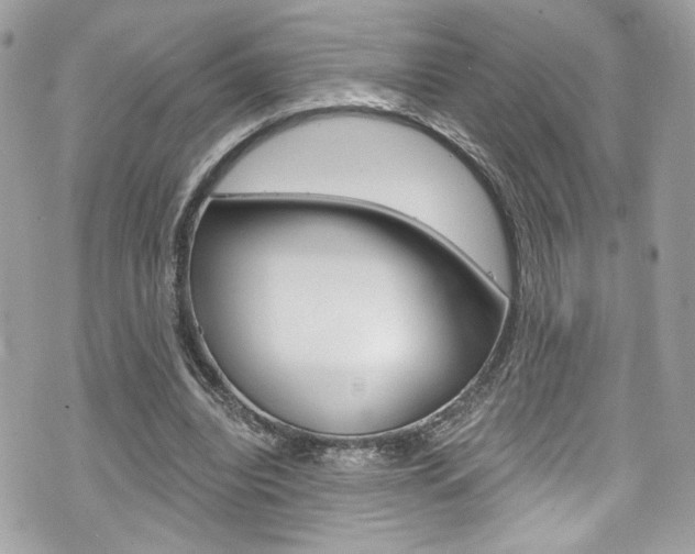 X0000070880440200606161015