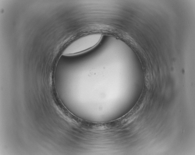 X0000070880454200606161015