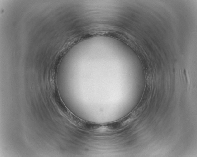 X0000070880460200606161015