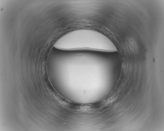 X0000070880462200606161015