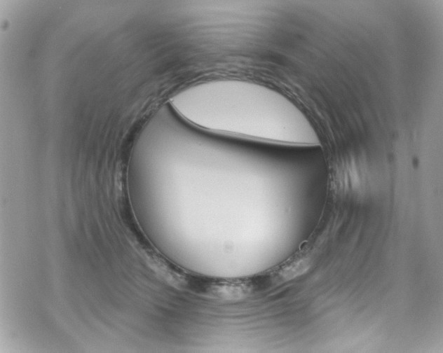 X0000070880466200606161015