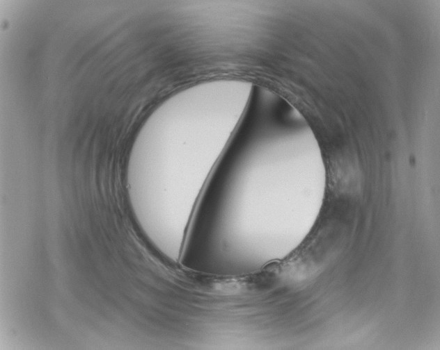X0000070880470200606161015