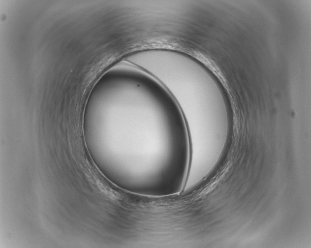 X0000070880481200606161015