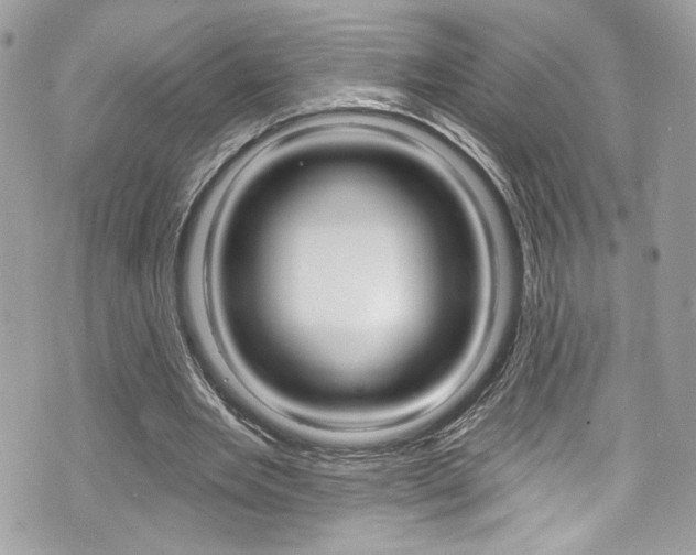 X0000070880485200606161015