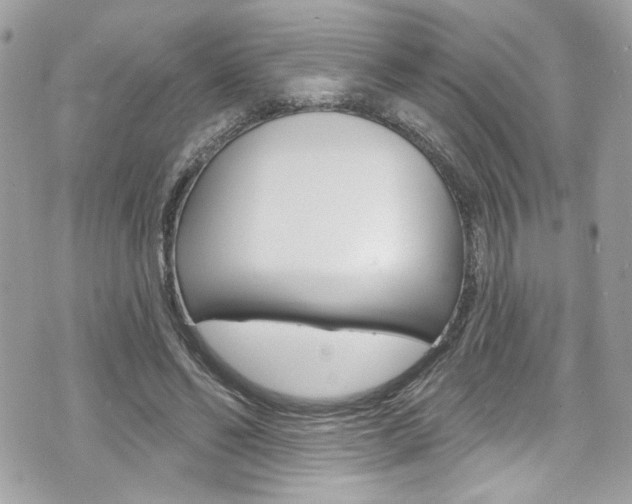 X0000070880494200606161014