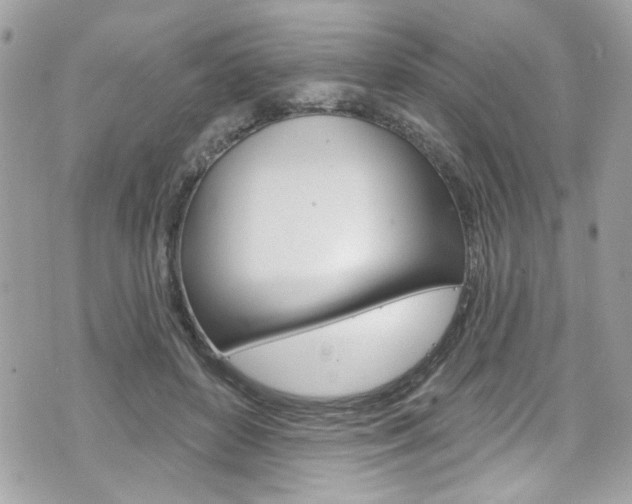 X0000070880504200606161014