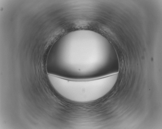 X0000070880508200606161014