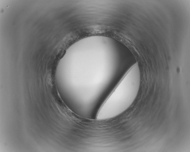 X0000070880512200606161014