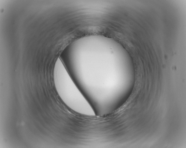 X0000070880528200606161014